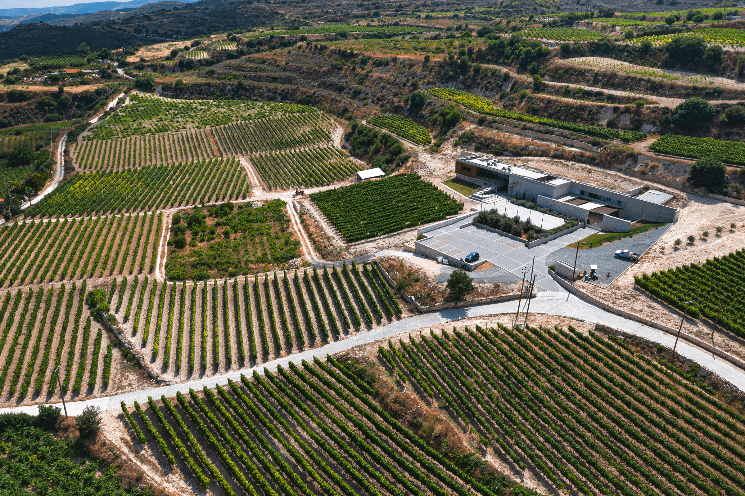 aerial view of winery and grape fields