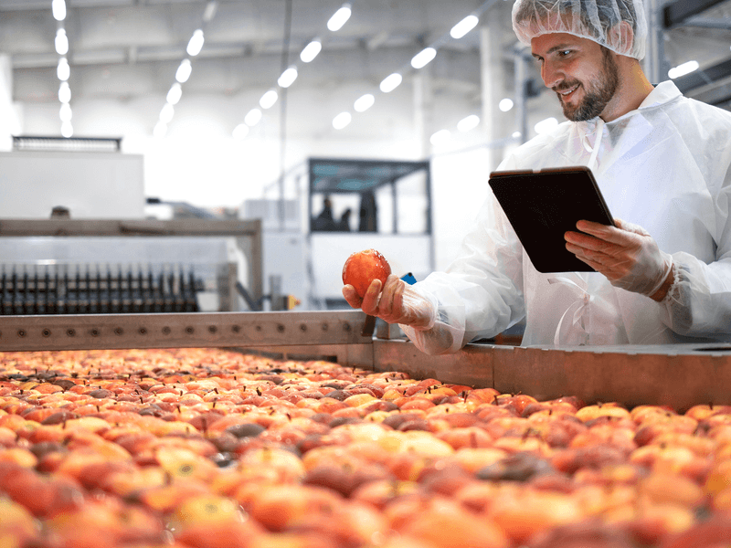 A man inspecting an apple in a food processing plant