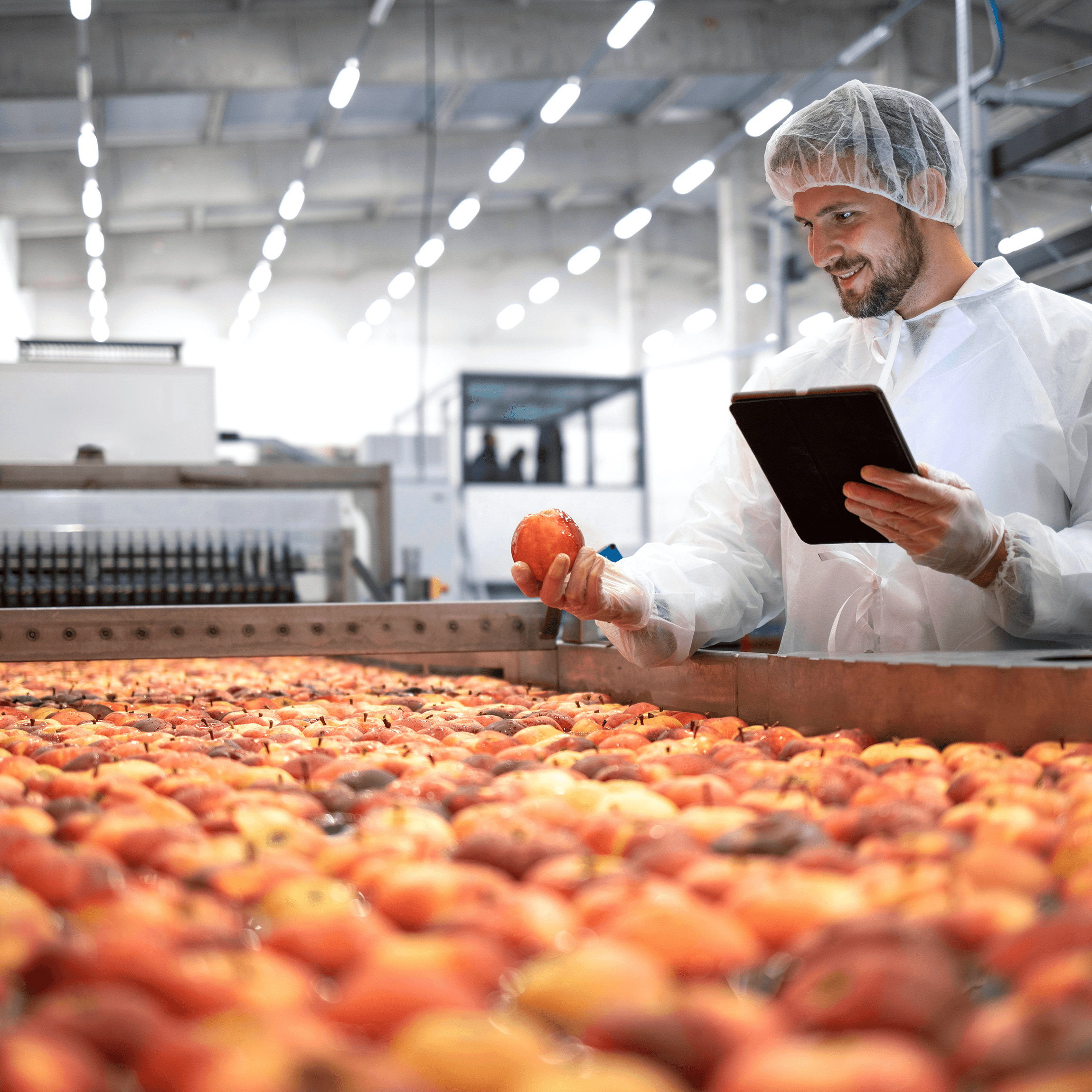 A man inspecting an apple in a food processing plant